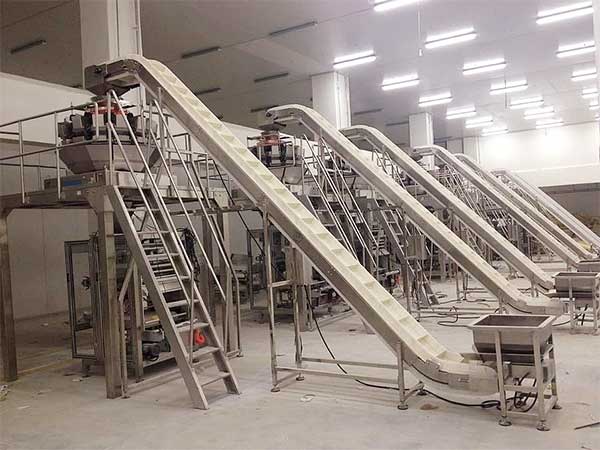 智能化全自动速冻食品污视频成人提升企业生产效率