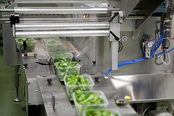 瓜果蔬菜全自动脱水蔬菜污视频成人